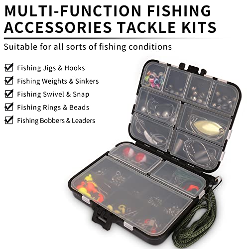 Truscend 203Pcs Fishing Accessories Kit, Premium Fishing Tackle Box Including Fishing Hooks/Fishing Leader/Swivels Snaps/Weights Sinkers/Rigs, Freshwater Saltwater Fishing Gear Set For Bass Trout #TOP1