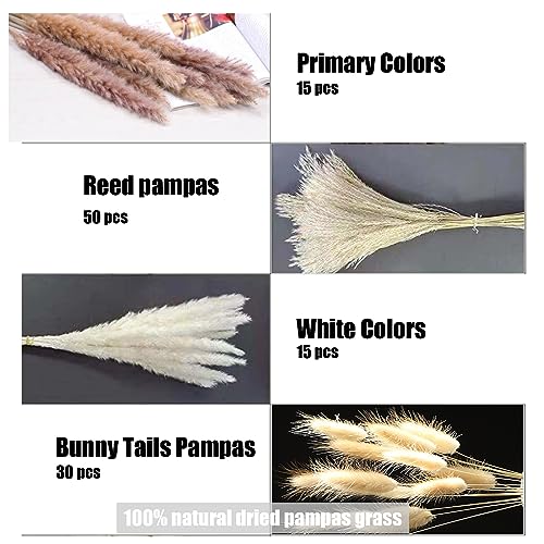 Pampas-Grass-Decor-110-pcs-175-inch-Natural-Dry-Pampas-15-Pcs-White-Pampas-15-Pcs-Brown-Pampas-50-Pcs-Reed-Grass-30-Pcs-Bunny-Tail-GrassFluffy-Dried-Flowers-for-Wedding-Boho-Decor-Home-Decor