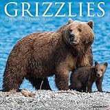 Grizzlies 2025 12" x 12" Wall Calendar