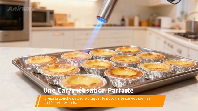 WOSTOO Torche de Cuisine, Chalumeau de Cuisine Professionnel Butane