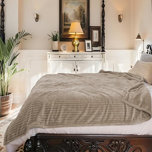 BRILLIO Heated Electric Blanket Quen Size 84