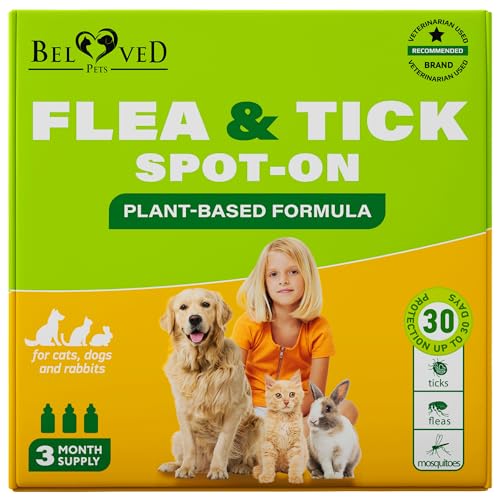 10 Best Treatment For Ticks On Cats