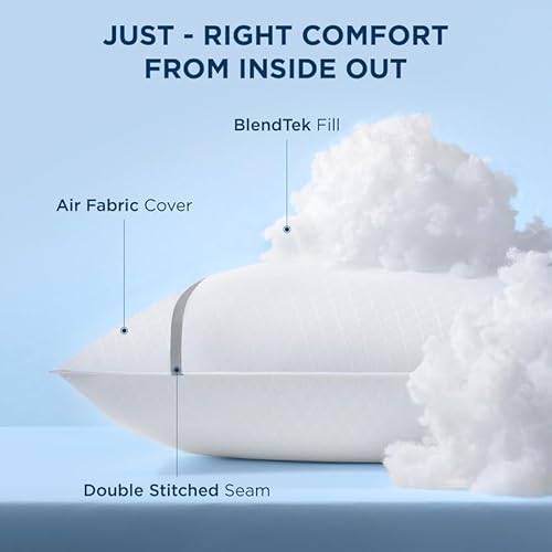 Bedsure Queen Pillows Set Of 2, Hotel Pillows Queen Size 2 Pack, Fluffy Twin Bed Pillows For Sleeping With Breathable Cover Soft & Supportive Pillows For Side thumb #1