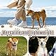 40cm Kettenwürger für Hunde, Kettenhalsband Hund, Hundehalsband Kette Edelstahl, Hundehalskette Verstellbare Hundekette mit Verbindungsverschluss für kleine mittelgroße Hunde Spazieren Gehen
