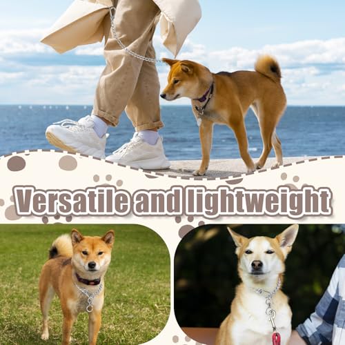 40cm Kettenwürger für Hunde, Kettenhalsband Hund, Hundehalsband Kette Edelstahl, Hundehalskette Verstellbare Hundekette mit Verbindungsverschluss für kleine mittelgroße Hunde Spazieren Gehen