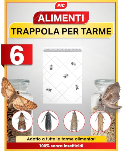 pic trappola per tarme alimentari - 6 trappole per tarme alimentari, trappola per tarme con feromone per un effetto ideale, trappole adesive efficaci per rilevare le infestazioni di tarme alimentari