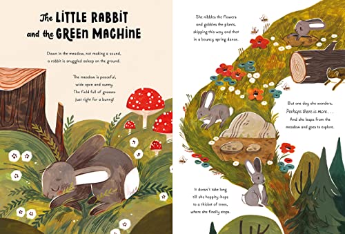 5-Minute Nature Stories: A Picture Book (5-Minute Discovery Stories) - Image 3