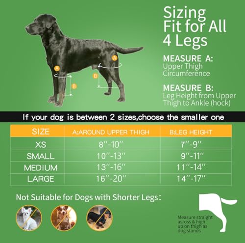 Image of Dog Knee Brace Premium & Adjustable for Torn ACL, Arthiritis, Post Surgery Care, Joint Issues, Reduce Pain, Provides Mobility & Supports Dogs Active Lifestyles (Small)