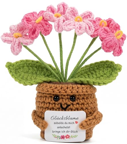 Aruigu Feschenke Für Frauen Handgehäkelter Vergissmeinnichtstrauß mit Karte | Pocket Hug Glücksbringer | Motivation Anti-Stress Geschenk für Frauen Männer Freunde Kollegen & Familie
