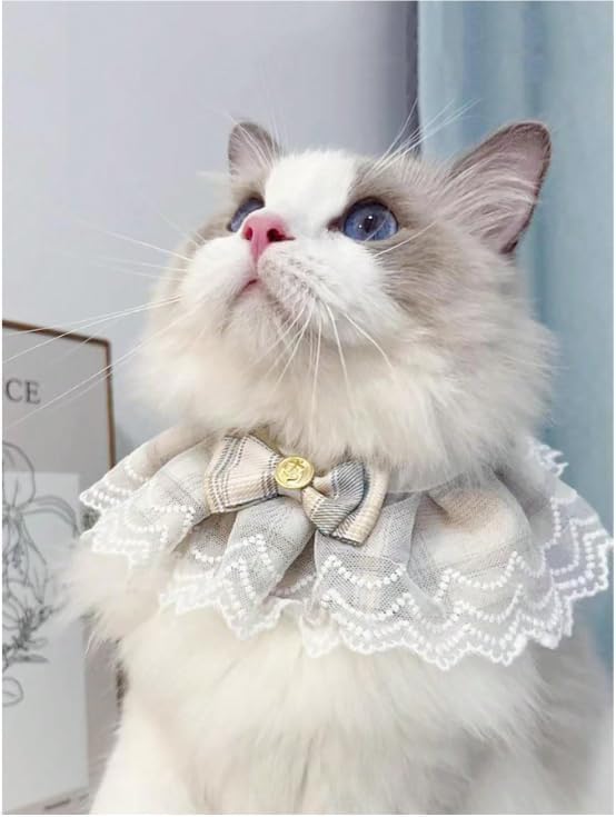 PSK PET MART Adjustable Pet Festival Accessories Fancy Dog Collar for Puppy and Kitten Lace ScarfCostume for Pet Decoration, Ideal Gifts and Decoration for Cats and Dogs (Large, Brown) (B0CN3C66Q9) Amazon Price History, Amazon Price Tracker