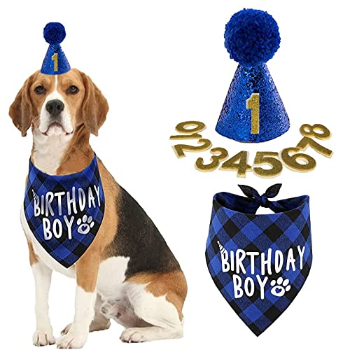Juego de gorro de cumpleaños para perro, bonito pañuelo triangular para cachorros, diseño de cuadros, color azul, negro, con números, suministros para fiestas de cumpleaños, disfraz para niños Cover