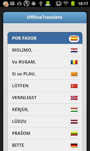 Offline Translate – vue 3