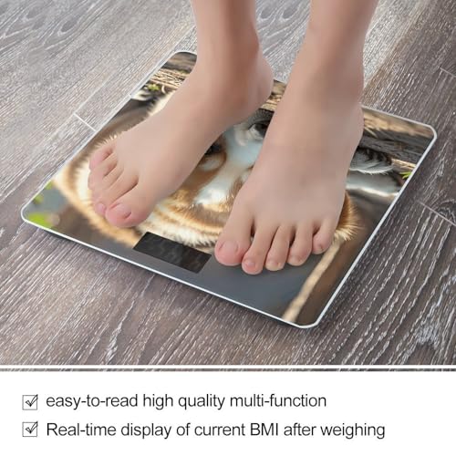 Báscula Digital de Baño para Peso Corporal FekiLoot miniatura 5