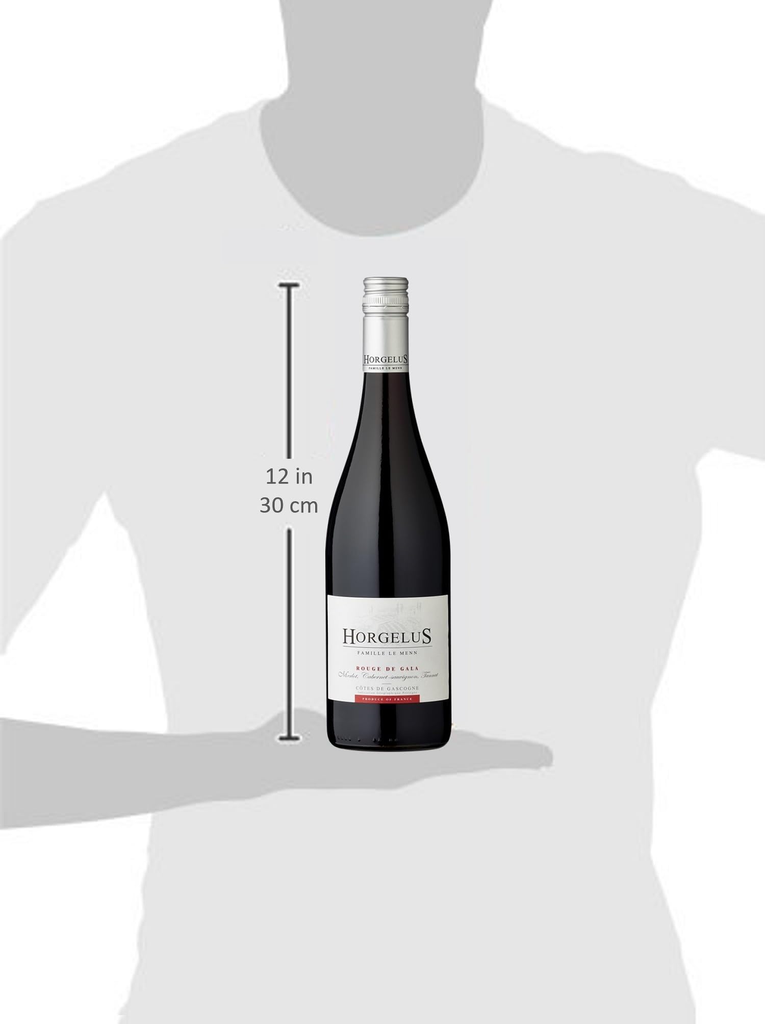 Domaine Horgelus Horgelus Rouge Côtes de Gascogne I.G.P. Merlot-Tannat 2023 (1 x 0.75 l)