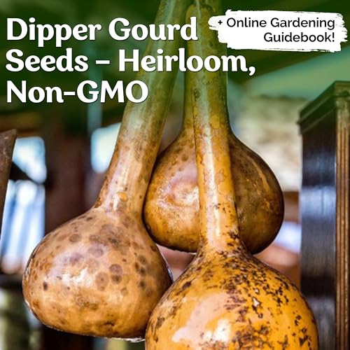 image for KVITER 10 Dipper Gourd Seeds (Lagenaria Siceraria) – Long Handle Dip