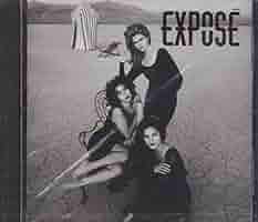 洋楽 Various - Expose It! LP 51AH79vbIdL._SY200_QL15_.jpg