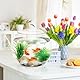 Kleines Rundes Fischglas Aus Kunststoff Dekorativer Desktop-aquariumbehälter Für Goldfische Und Pflanzen Robustes Transparentes Fischbecken Für Büro Zuhause Oder Garten