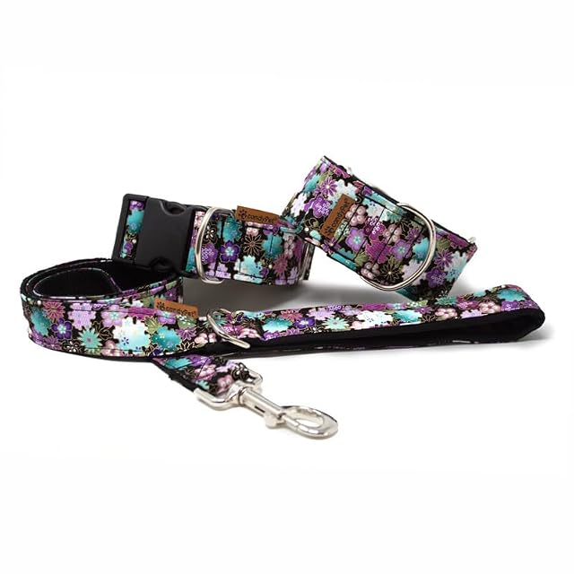 candyPet - Correa para Perros - 120 cm de algodón con Asa Acolchada de Softshell, Liberty