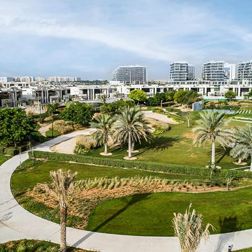 Ant Control & Prevention Guide in Damac Hills 1 Dubai Villas | Kitchen, Garden & Wall Entry Solutions &ndash; Accurate Pest Control Services LLC Dubai