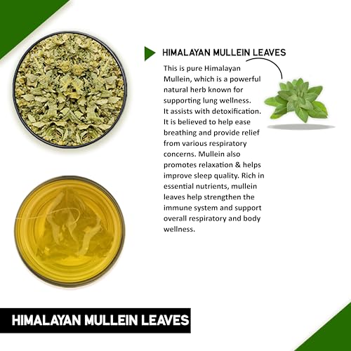 Image of Teacurry Himalayan Mullein Leaf Tea (30 TeaBags) - Organic Herbal Detox Mullein Leaves - Supports Lung Cleanse, Immunity & Relaxation - Caffeine-Free Herbal Tea Bags