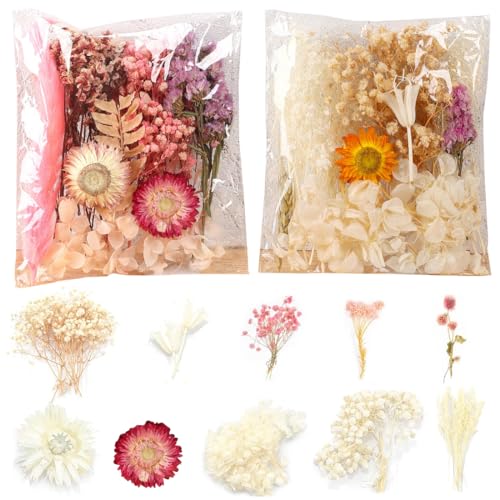 XBFOCNH 2 Bolsas de Flores Secas Naturales para Resina, DIY Joyería, Scrapbooking - Flores Reales Prensadas para Resina Epoxi