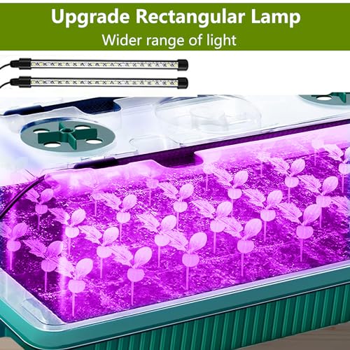 Zimmergewächshaus Anzuchtkasten mit Pflanzenlampe, 40 Zellen Gewächshaus Anzucht Set mit Timing-Controller einstellbare Helligkeit für Pflanzenwachstum und Saatgutkeimung