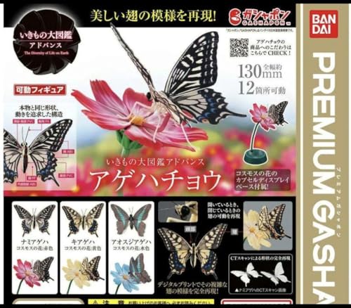 いきもの大図鑑アドバンス アゲハチョウ 2点セット プレミアムガシャポン