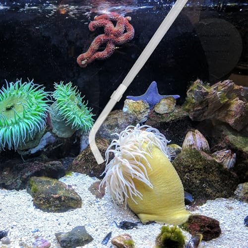 Image of KABASI Coral Feeder Fish Feeder Waste Clean Tool, 50ml Manual Acrylic Pipette Suction Dropper with 2PCS Extension Pipes for Fish Tank Cleaning, Water Changer Waste Remover for Aquarium