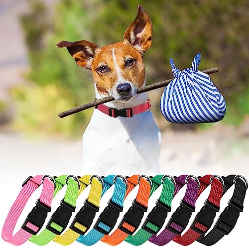 Collier pour chien de taille moyenne nylon réglable accessoires marche entraînement M - 8
