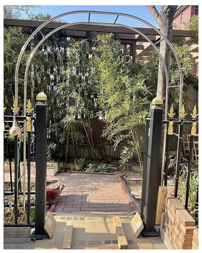 Arche de jardin en acier inoxydable 202 treillis robuste et durable pour plantes