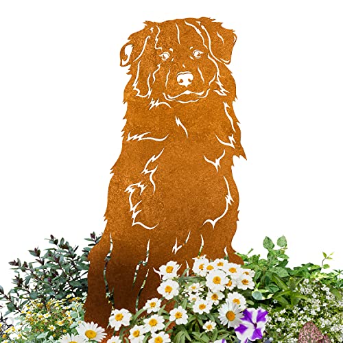 Terma Stahldesign Australian Shepherd Gartenfigur Metall – Edelrost Hund Rostfigur für Gartendeko außen – Massive Hundefigur – Handmade in Germanyo