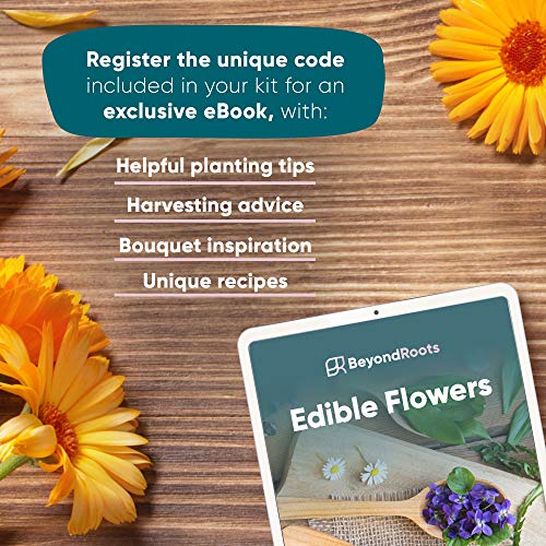 100-Edible-Flower-Seeds-for-Planting-Certified-Organic-Seeds-9-Flower-Garden-Non-GMO-Plant-Seed-Packets-Plant-Markers-Lavender-Echinacea-Calendula-Borage-Wildflower-Chamomile-Thai-Basil 100-Edible-Flower-Seeds-for-Planting-Certified-Organic-Seeds-9-Flower-Garden-Non-GMO-Plant-Seed-Packets-Plant-Markers-Lavender-Echinacea-Calendula-Borage-Wildflower-Chamomile-Thai-Basil