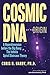 Cosmic DNA at the Origin: A Hyperdimension before the Big Bang. The Infinite Spiral Staircase Theory
