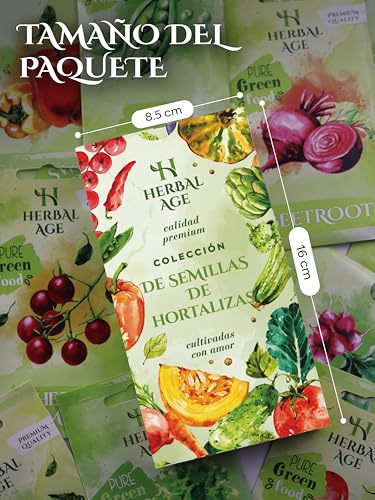 Kit-Semillas-Huerto-Urbano-De-12-Vegetales--5100-Ecologicas-Semillas-De-Tomate-Pepino-Lechuga-Tomates-Cherry--Kit-Huerto-En-Casa-Pack-Regalos-Originales-Para-Hombre-y-Mujer