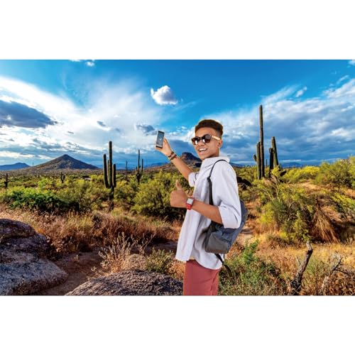 Fondo fotográfico cactus desierto 7x5ft con plantas y dunas miniatura 2