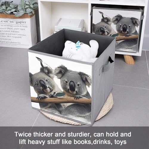 Boîtes de rangement koalas pliables et bacs empilables pour placard - 7