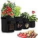 Produktbild FancyWhoop 4 Stück Pflanzsäcke 10/7/5/2 Gallon schwarz Anzuchtbeutel mit Griffen für Kartoffeln, Karotten und Tomaten