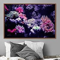 Framed Canvas Wall Art Deep Under Group Jellyfish Marine Life Multicolor Photography Realism Tropical Ultra Whimsical - 16x24 inches