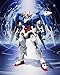 TAMASHII NATIONS Bandai Metal Robot Spirits Raiser + Gn Sword III Gundam 00