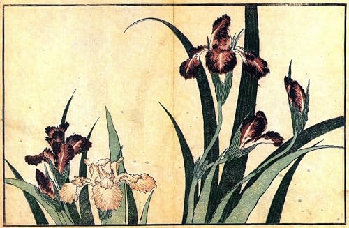 Pintura mural en lienzo de Hokusai: cuadro decorativo de 60x90cm con diseño de Iris