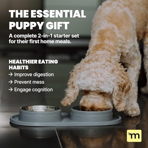 MalsiPree 2-in-1 Puppy Slow Feeder & Water Bowl Set - Essential Dog Gift for Small & Medium Pups - Silicone Feeding Mat & Stainless Steel Bowls, Travel-Ready Training Station for Fast Eaters - Gray - Image 4