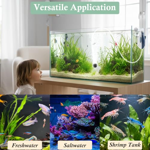 Dirvin 2W Silent Aquarium Air Pump -45GPH Small Fish Tank Bubbler, Adjustable Aquarium Aerator with Accessories for 5-20 Gallon Fish Tank by Dirvin - Image 7