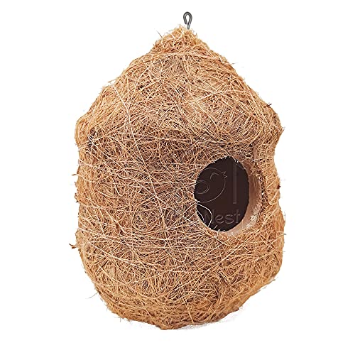 PetNest-CR-2-Safest-Round-Organic-Bird-Nest-Purely-Handmade-Sparrow-Brown-2-Nos-2-Piece