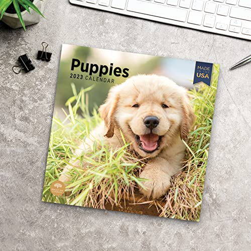 2023 Puppies Monthly Wall Calendar By Bright Day, Made In The Usa, 12 X 12 Inch, Cute Adorable Pet Dog Photography #TOP5