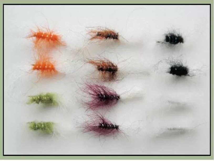 12 Pack Shipman Buzzer - Mixed Colours, Choice of Sizes, Fly Fishing (12, Mixed)