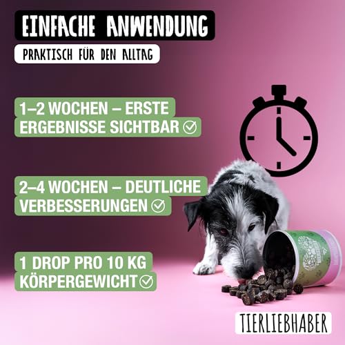 TIERLIEBHABER Darmpflege Drops – 350g (115 Stück) – Darmkur für Hund Darmflora aufbauen – Hundeleckerlies zum Magenschutz für Hunde – Hunderunde Futtertopping Hunde Leckerli – Darmsanierung Hund