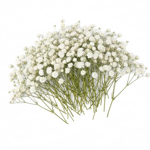 JEKUGOT 100 Pcs Dried Flowers for Crafts Gypsophila Artificial Flowers White Baby Breath Flower Artificial for Vase Flower Arrangement Craft DIY Wedding Decorations Home Table Centerpieces