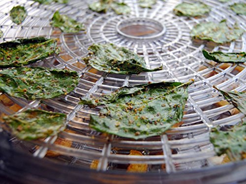 Weston 75-0601-W Dehydrator, Gray #TOP2