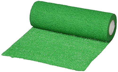 Image of Pro-Trainer Cohesive Tape, 6 inch x 6 yd., Kelly Green