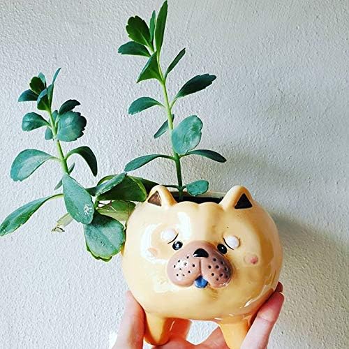 Succulent Pots with Drainage - Small Succulent Planter Handmade Original Ceramic Plant Pot Indoor - Mini Pots for Plants Flower Cactus - Home Kitchen Desk Garden Decor (Puppy Single F (Chow Chow))